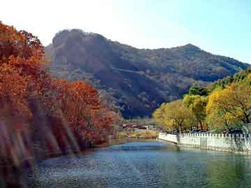 產(chǎn)業(yè)鏈發(fā)展專題培訓會，產(chǎn)業(yè)繁榮的關(guān)鍵一環(huán)，助力產(chǎn)業(yè)騰飛！