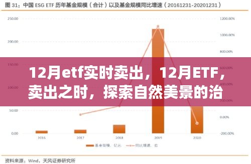 12月ETF實(shí)時(shí)賣出，探索自然美景的治愈之旅
