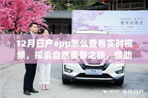 日產(chǎn)App冬季實(shí)時(shí)視頻指南，探索自然美景，心靈與實(shí)景交融之旅