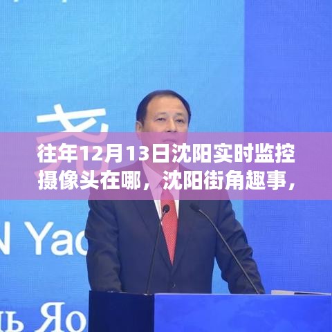 沈陽街角暖心日常與友情紐帶，實時監(jiān)控攝像頭下的趣事與觀察