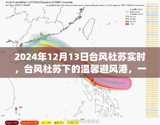 臺風杜蘇下的夏日奇遇，友情避風港實時報道 2024年12月13日