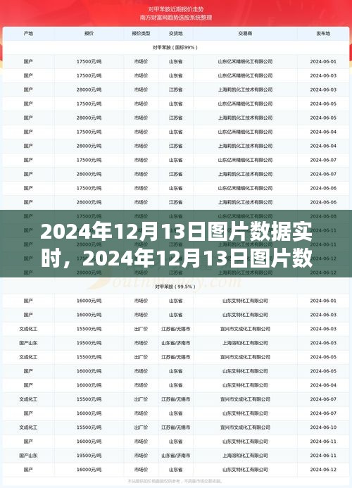 2024年12月13日?qǐng)D片數(shù)據(jù)實(shí)時(shí)獲取與處理步驟指南，從初學(xué)者到進(jìn)階用戶的全面指南