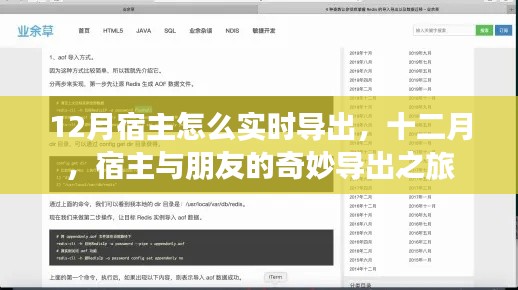 十二月宿主與朋友的奇妙導(dǎo)出之旅，實(shí)時(shí)操作指南