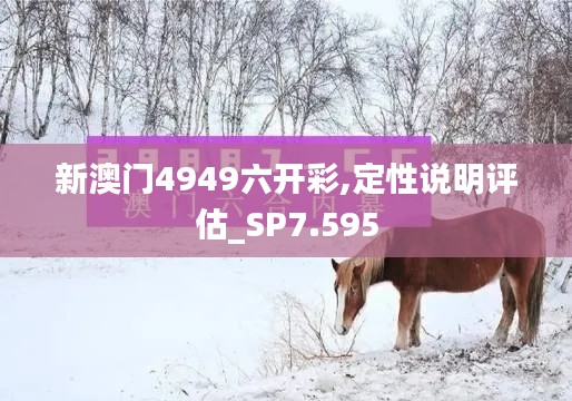 新澳門(mén)4949六開(kāi)彩,定性說(shuō)明評(píng)估_SP7.595