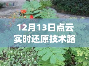 點(diǎn)云實(shí)時(shí)還原技術(shù)路線圖揭秘，未來科技新篇章的開啟者