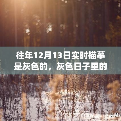 灰色日子里的彩色溫情，一場(chǎng)意外的冬日奇遇紀(jì)實(shí)