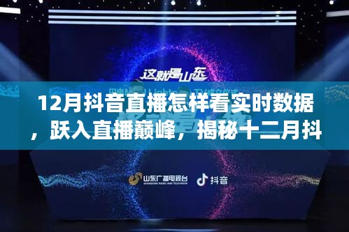 揭秘十二月抖音直播實(shí)時(shí)數(shù)據(jù)的魅力與成長(zhǎng)之路，躍入巔峰的直播數(shù)據(jù)解析