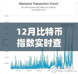 12月比特幣指數(shù)實(shí)時(shí)查詢(xún)，全面評(píng)測(cè)與詳細(xì)介紹