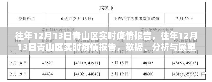 往年12月13日青山區(qū)疫情實(shí)時(shí)報(bào)告，數(shù)據(jù)、分析與未來展望