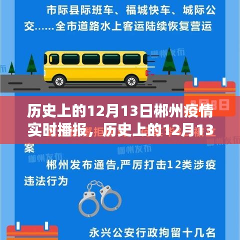 歷史上的12月13日郴州疫情深度分析與實(shí)時播報
