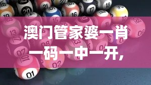 澳門管家婆一肖一碼一中一開,迅捷處理問題解答_Advanced9.717