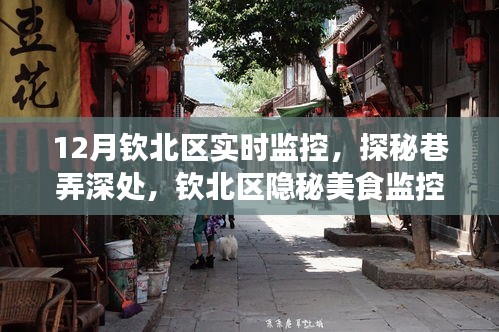 欽北區(qū)隱秘美食之旅，巷弄深處的實時監(jiān)控探秘小吃店之旅