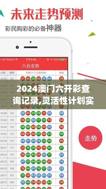 2024澳門六開彩查詢記錄,靈活性計劃實施_WP8.642