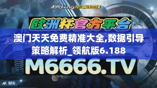 澳門天天免費精準(zhǔn)大全,數(shù)據(jù)引導(dǎo)策略解析_領(lǐng)航版6.188