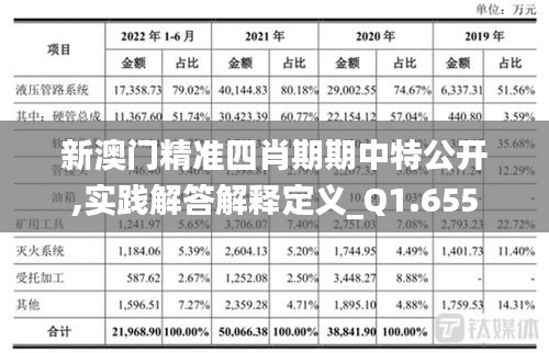 新澳門精準(zhǔn)四肖期期中特公開,實(shí)踐解答解釋定義_Q1.655