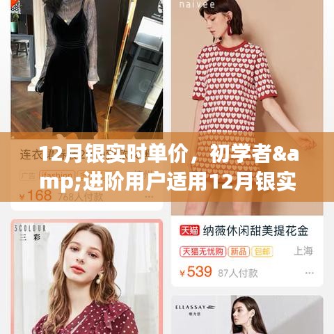 12月銀實(shí)時(shí)單價(jià)查詢與監(jiān)控指南，適合初學(xué)者與進(jìn)階用戶的步驟指南