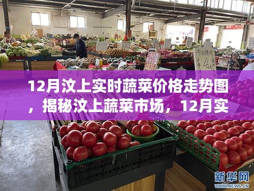 揭秘汶上蔬菜市場，12月實(shí)時(shí)蔬菜價(jià)格走勢深度解析及趨勢預(yù)測
