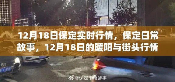 保定日常故事，暖陽下的街頭行情與實時動態(tài)