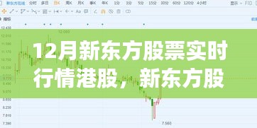 新東方股票實(shí)時行情港股評測與介紹，深度解析12月股市動態(tài)