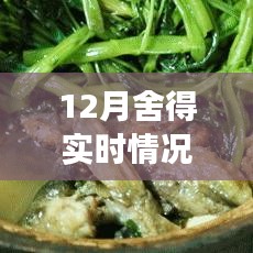探秘巷弄深處的舍得驚喜，一家隱藏小巷中的特色小店揭秘的十二月故事