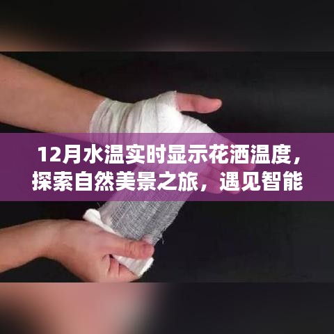 智能水溫花灑，探索自然美景之旅，實(shí)時(shí)水溫體驗(yàn)開啟內(nèi)心寧靜與歡笑