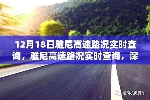 雅尼高速路況實時查詢深度解析與觀點闡述，最新路況信息，不容錯過！
