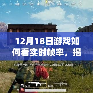 揭秘，如何輕松查看12月18日游戲的實(shí)時(shí)幀率！