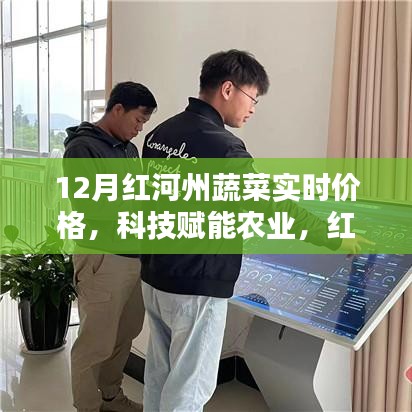 科技賦能下的紅河州蔬菜實時價格智能監(jiān)控，開啟智慧農(nóng)業(yè)新時代