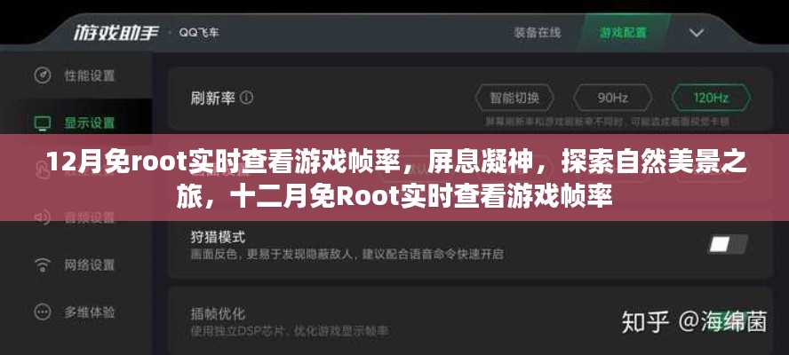 十二月免Root實(shí)時(shí)查看游戲幀率，屏息凝神，探索自然美景的游戲之旅