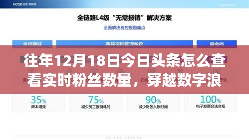 揭秘?cái)?shù)字浪潮下的粉絲風(fēng)云，如何在十二月十八日實(shí)時(shí)查看今日頭條粉絲數(shù)量？