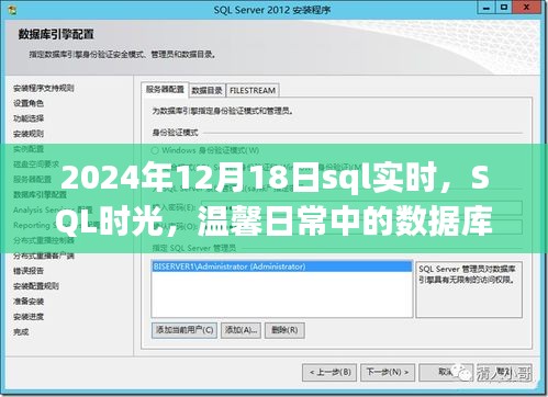 數(shù)據(jù)庫(kù)奇緣，SQL時(shí)光下的溫馨日常與實(shí)時(shí)數(shù)據(jù)探索（2024年12月18日）