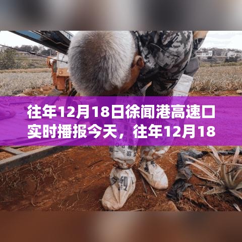 歷年12月18日徐聞港高速口實(shí)時(shí)播報(bào)，今日交通狀況分析與影響觀察