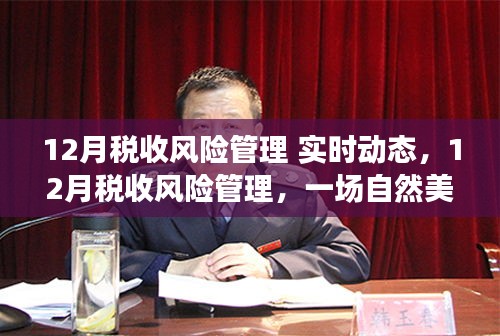 稅收風險管理實時動態(tài)，自然美景下的心靈之旅與風險管理探索