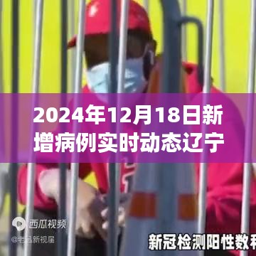 遼寧新病例動態(tài)下的自然探索之旅，尋找內(nèi)心的寧靜與微笑（實(shí)時(shí)更新至2024年12月18日）