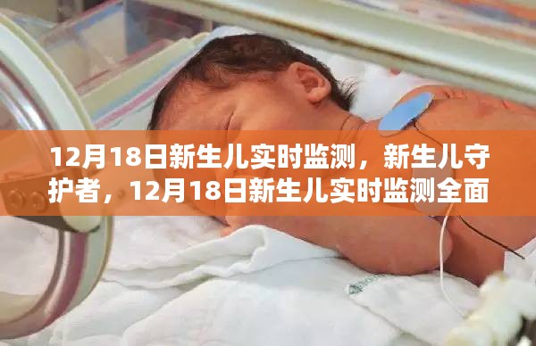 懸駝就石 第3頁(yè)