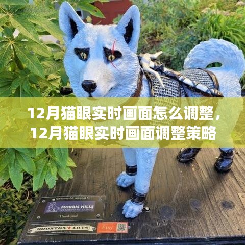 專業(yè)解析，12月貓眼實(shí)時(shí)畫面調(diào)整策略與實(shí)時(shí)調(diào)整技巧