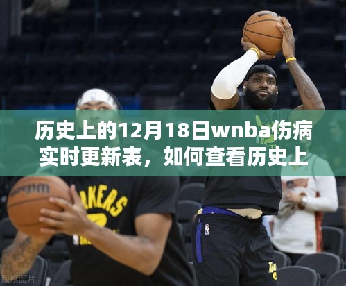 歷史上的12月18日WNBA傷病實(shí)時(shí)更新表詳解，查看指南與步驟梳理