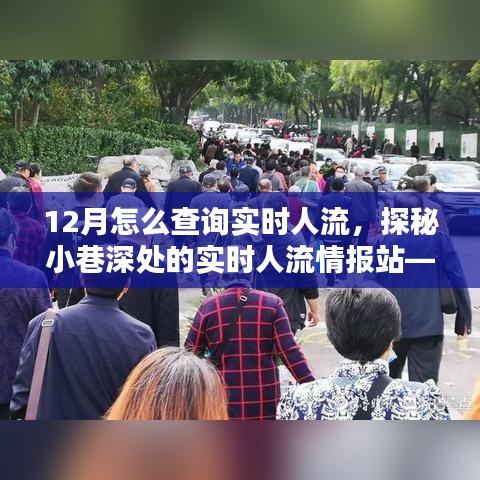 探秘隱藏式人流查詢指南，實(shí)時(shí)掌握小巷深處人流情報(bào)的秘訣