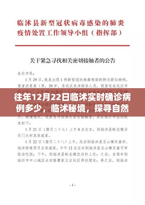 臨沭實(shí)時(shí)確診病例更新及秘境自然美景探尋之旅，重拾內(nèi)心的寧?kù)o與和諧