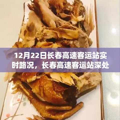 長春高速客運(yùn)站實(shí)時路況與隱藏瑰寶，小巷特色小店的奇遇