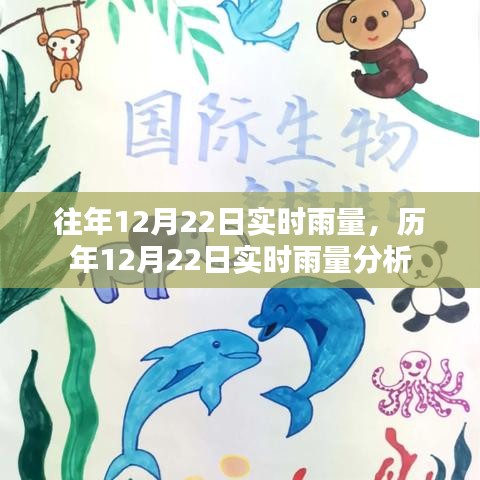 歷年12月22日實(shí)時雨量分析與比較