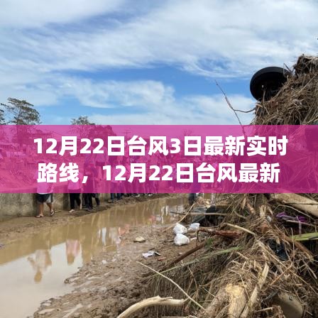 深度解析與案例分析，最新臺(tái)風(fēng)實(shí)時(shí)路線(xiàn)動(dòng)態(tài)及案例分析（截至12月22日）