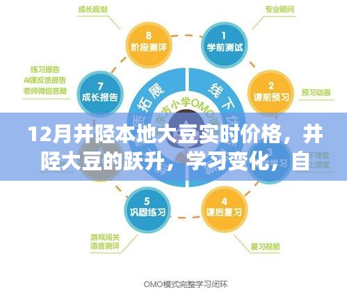 井陘大豆躍升，把握12月新機(jī)遇，實(shí)時(shí)價(jià)格與學(xué)習(xí)變化展現(xiàn)自信閃耀