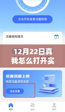 初學(xué)者也能輕松掌握！真我手機(jī)實(shí)時(shí)流量開啟詳細(xì)步驟指南（12月22日更新）
