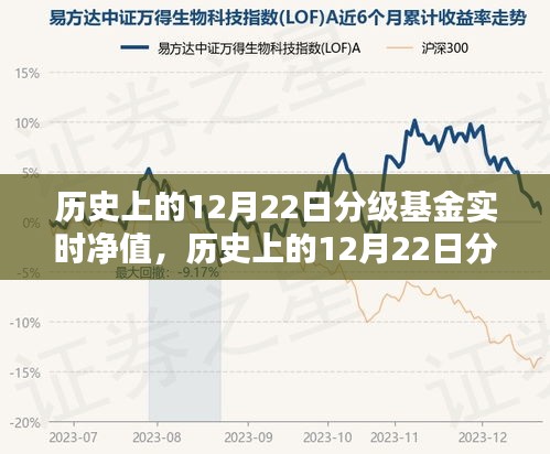 歷史上的12月22日分級基金實時凈值詳解，查詢步驟指南（適用于初學(xué)者與進階用戶）