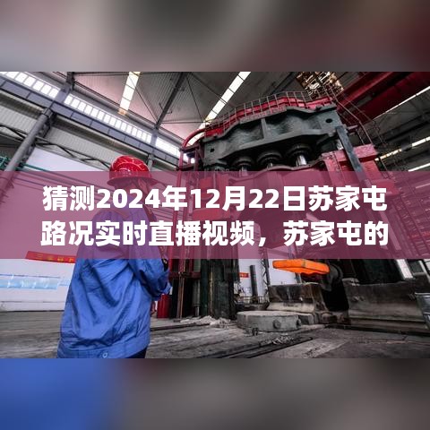 蘇家屯路況實(shí)時直播，探索神秘小巷的特色小店，預(yù)測未來路況之旅