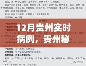 貴州秘境探秘，自然療愈與尋找內(nèi)心寧?kù)o之旅——實(shí)時(shí)病例追蹤報(bào)道