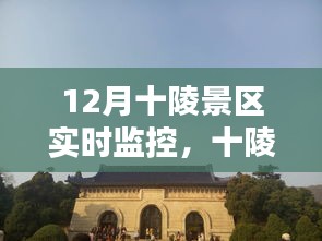 十陵景區(qū)12月實時監(jiān)控攻略，初學(xué)者與進階用戶的全方位教程