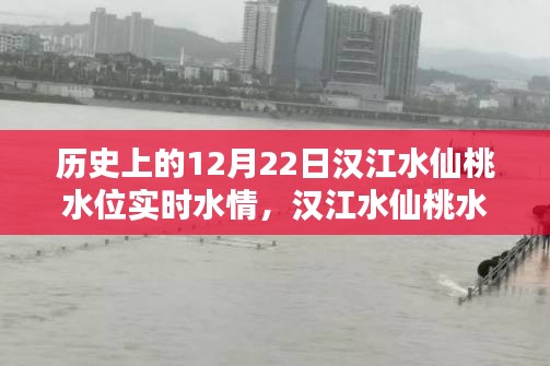 漢江水仙桃水位揭秘，探尋歷史特殊水情，實時掌握12月22日水位動態(tài)