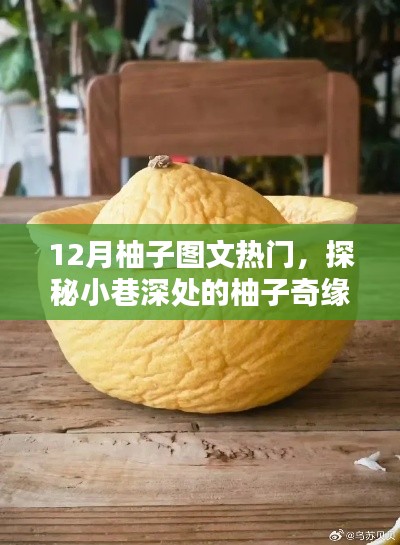 探秘柚子奇緣，隱藏版柚子主題小店的獨特魅力，12月柚子圖文熱門